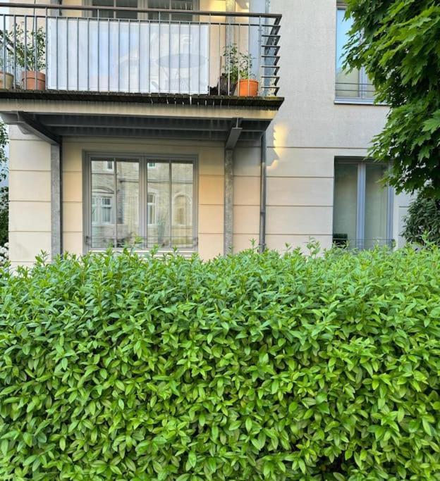 Gemuetliches Apartment Im Herzen Detmolds Kültér fotó