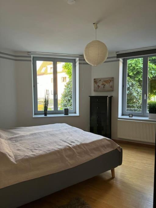 Gemuetliches Apartment Im Herzen Detmolds Kültér fotó